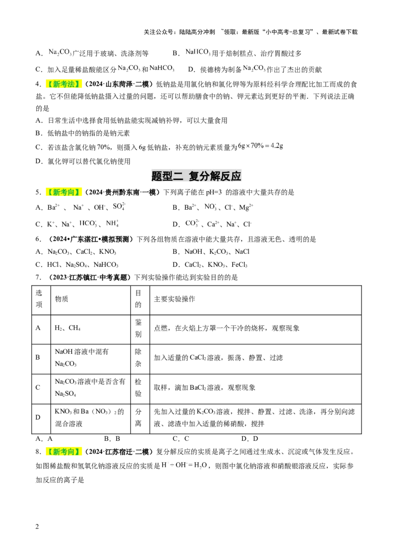 专题10常见的盐（练习）（原卷版）_02中考总复习（2026版更新中）_05-化学-中考总复习_2025年中考复习资料_2025中考化学一轮复习讲义+课件_练习_专题10常见的盐（练习）