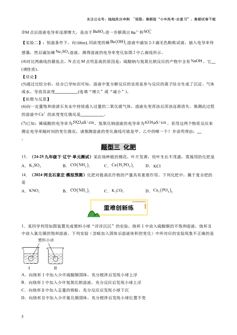 专题10常见的盐（练习）（原卷版）_02中考总复习（2026版更新中）_05-化学-中考总复习_2025年中考复习资料_2025中考化学一轮复习讲义+课件_练习_专题10常见的盐（练习）