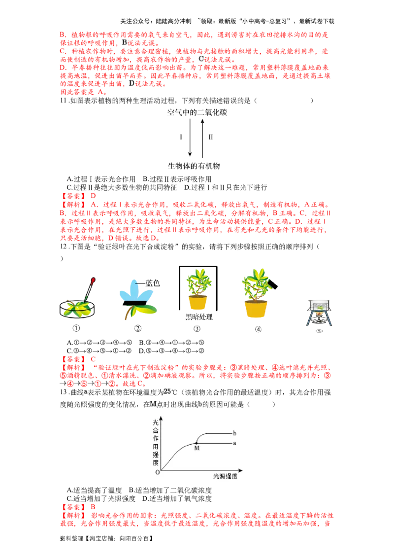 专题09绿色植物的光合作用（解析版）_02中考总复习（2026版更新中）_08-生物-中考总复习_2024年中考复习资料_一轮复习_配套练习_教师版（含答案解析）
