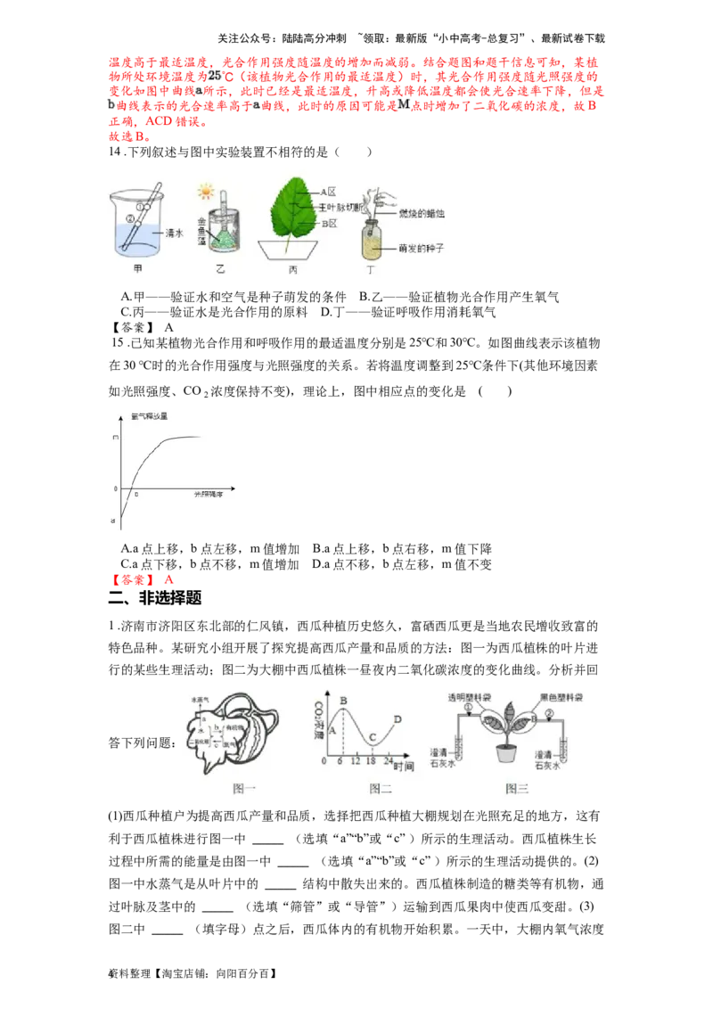 专题09绿色植物的光合作用（解析版）_02中考总复习（2026版更新中）_08-生物-中考总复习_2024年中考复习资料_一轮复习_配套练习_教师版（含答案解析）