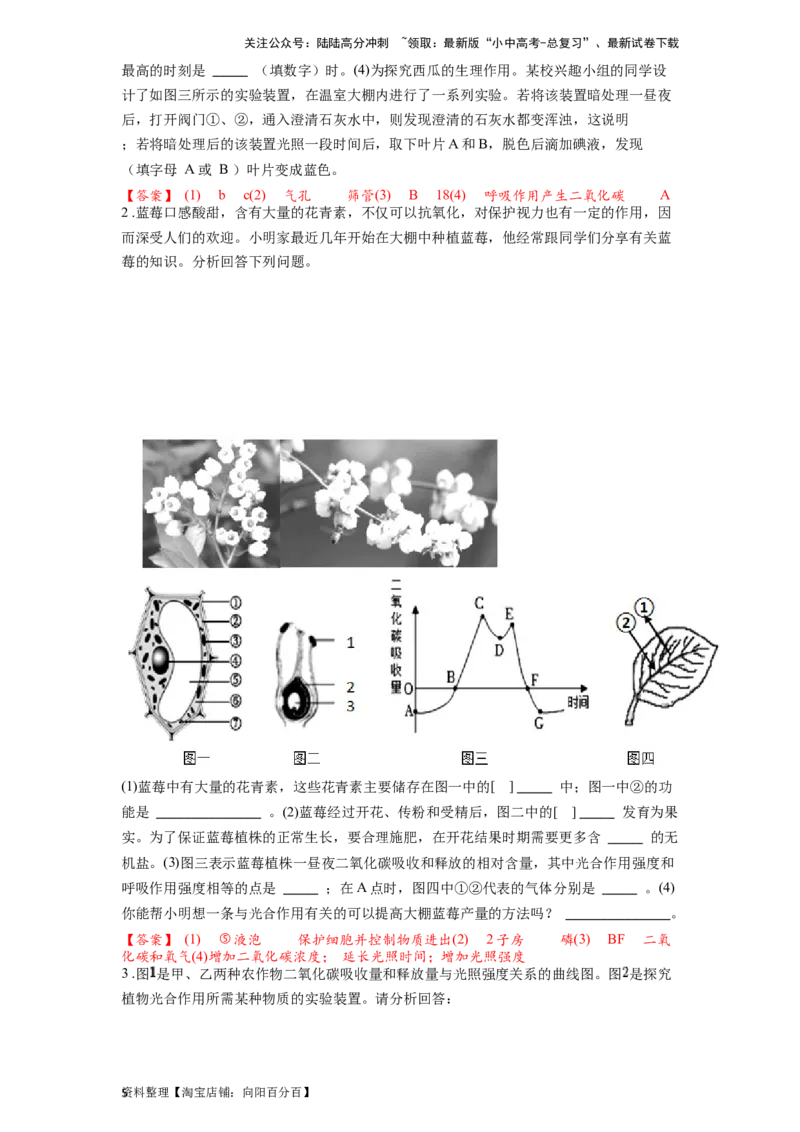专题09绿色植物的光合作用（解析版）_02中考总复习（2026版更新中）_08-生物-中考总复习_2024年中考复习资料_一轮复习_配套练习_教师版（含答案解析）