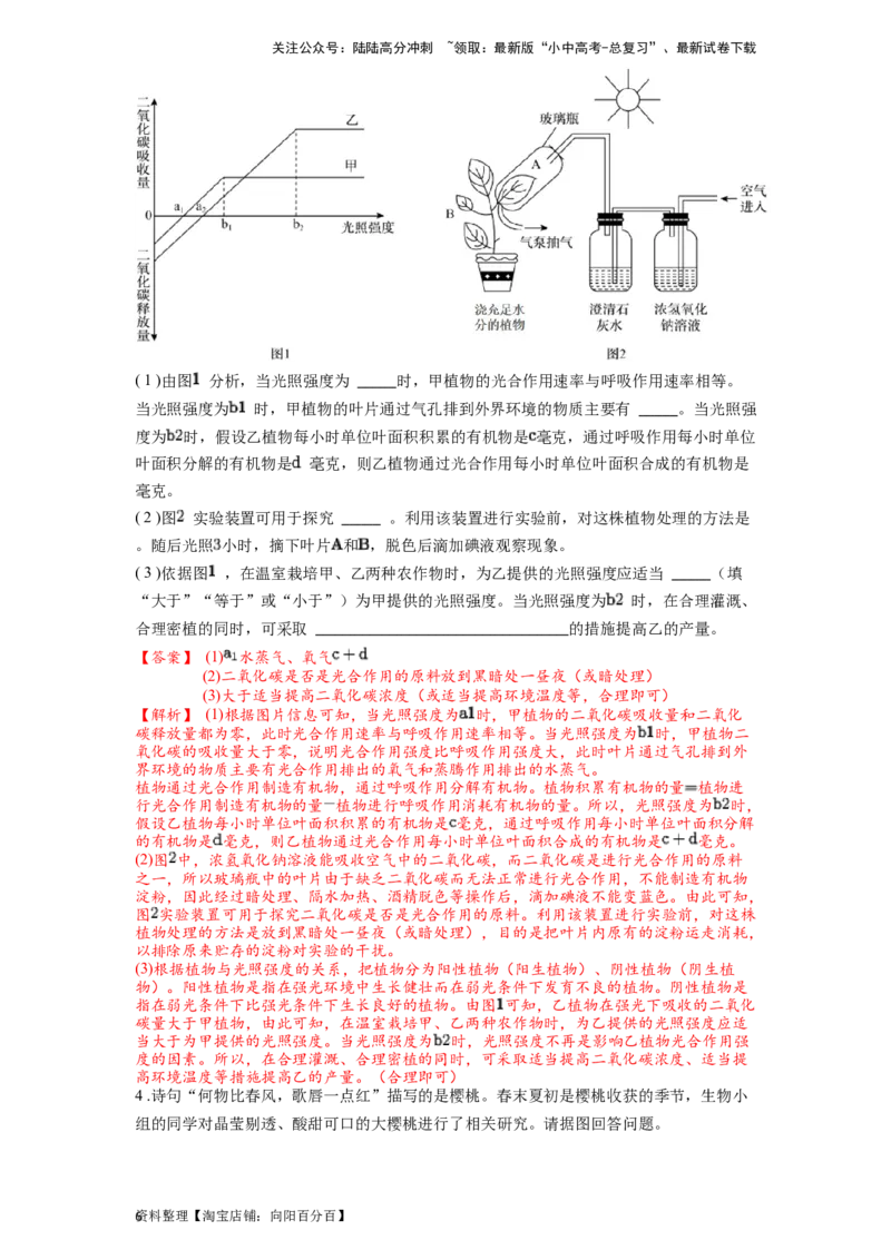 专题09绿色植物的光合作用（解析版）_02中考总复习（2026版更新中）_08-生物-中考总复习_2024年中考复习资料_一轮复习_配套练习_教师版（含答案解析）
