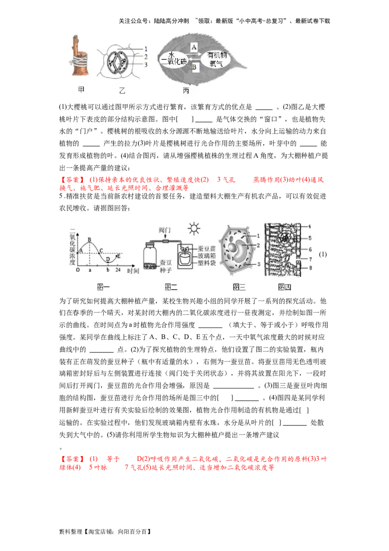 专题09绿色植物的光合作用（解析版）_02中考总复习（2026版更新中）_08-生物-中考总复习_2024年中考复习资料_一轮复习_配套练习_教师版（含答案解析）
