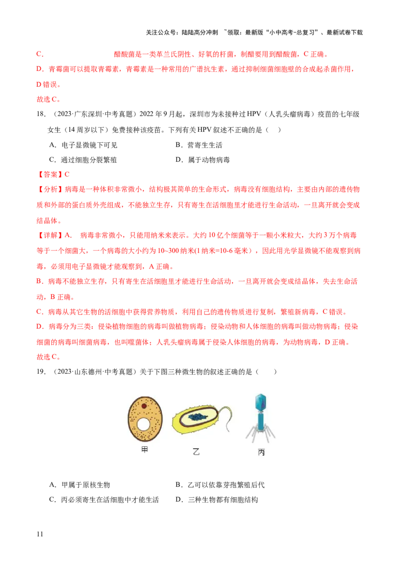 专题09各种各样的生物（全国通用）（解析版）_02中考总复习（2026版更新中）_08-生物-中考总复习_2026年中考复习（更新中）