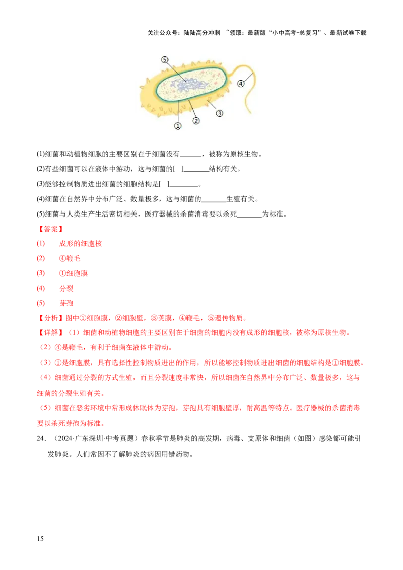 专题09各种各样的生物（全国通用）（解析版）_02中考总复习（2026版更新中）_08-生物-中考总复习_2026年中考复习（更新中）