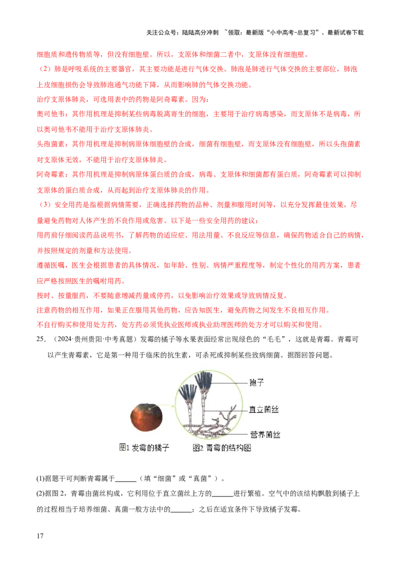 专题09各种各样的生物（全国通用）（解析版）_02中考总复习（2026版更新中）_08-生物-中考总复习_2026年中考复习（更新中）