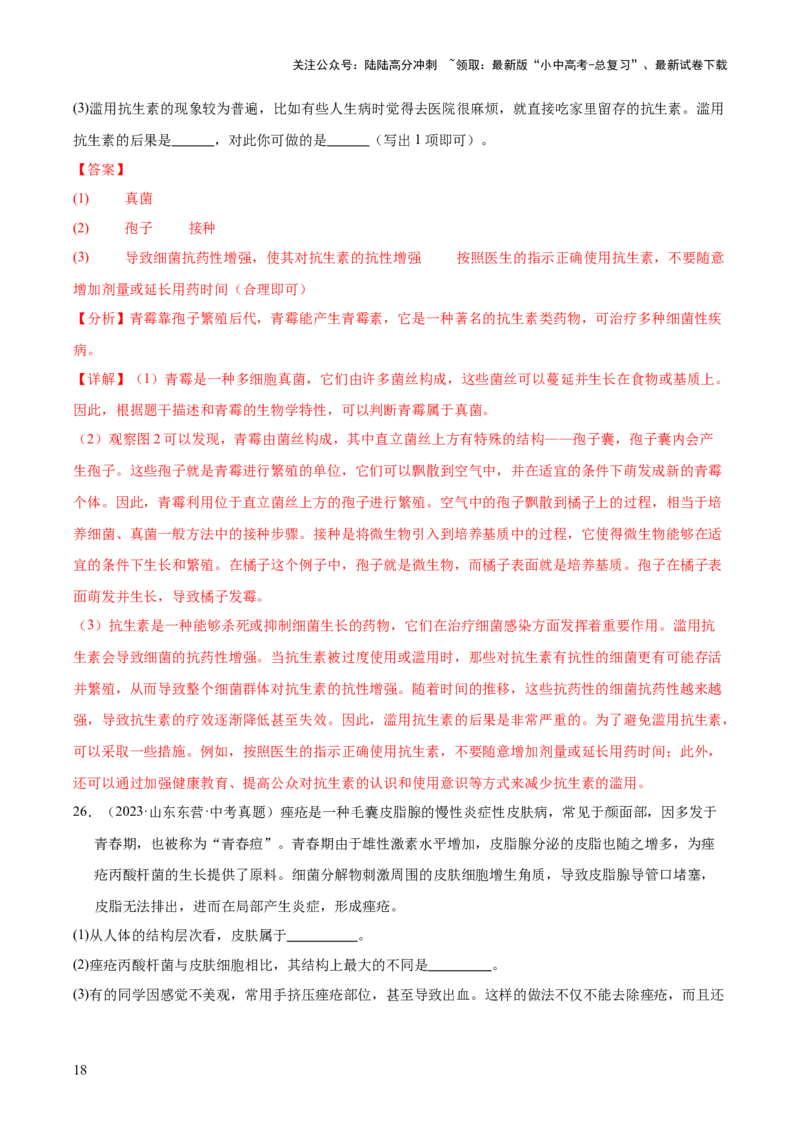 专题09各种各样的生物（全国通用）（解析版）_02中考总复习（2026版更新中）_08-生物-中考总复习_2026年中考复习（更新中）