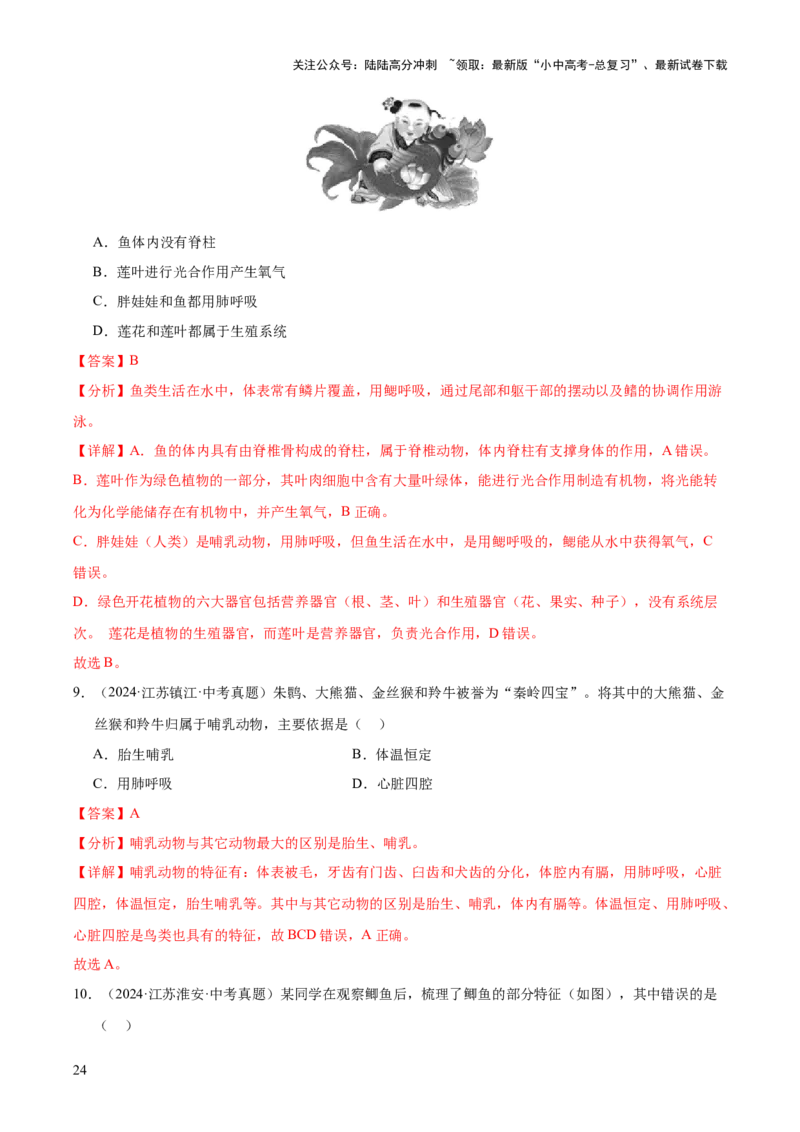 专题09各种各样的生物（全国通用）（解析版）_02中考总复习（2026版更新中）_08-生物-中考总复习_2026年中考复习（更新中）
