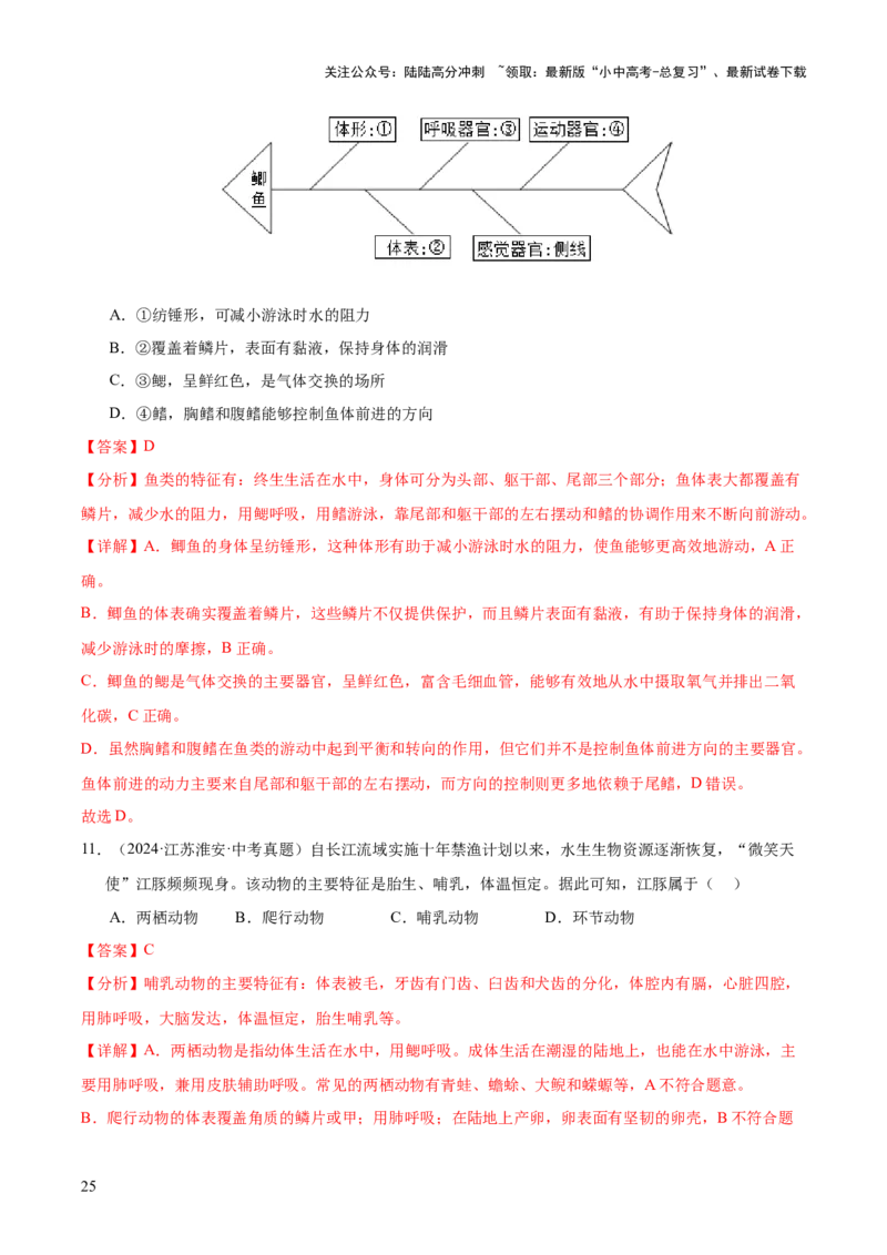 专题09各种各样的生物（全国通用）（解析版）_02中考总复习（2026版更新中）_08-生物-中考总复习_2026年中考复习（更新中）