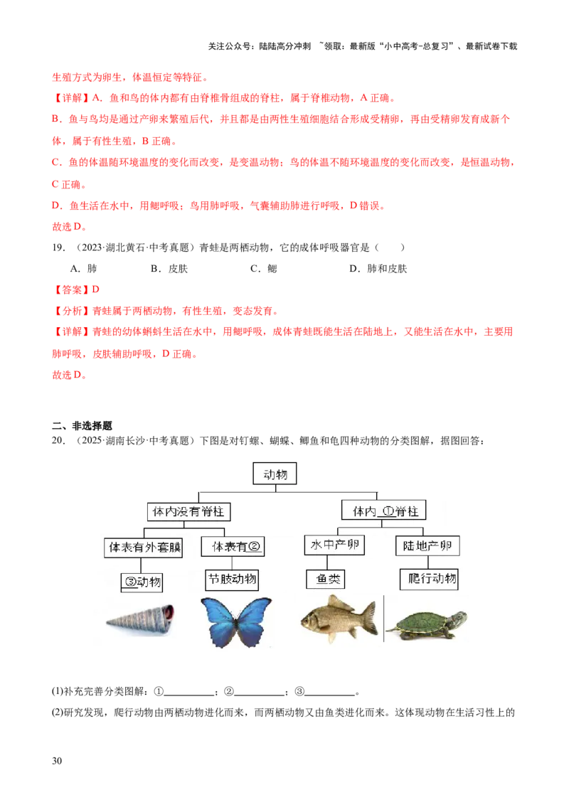 专题09各种各样的生物（全国通用）（解析版）_02中考总复习（2026版更新中）_08-生物-中考总复习_2026年中考复习（更新中）