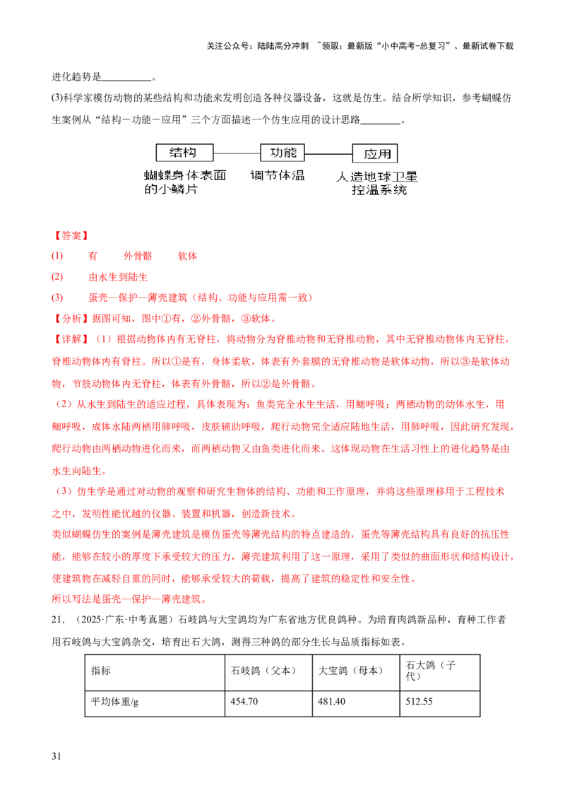 专题09各种各样的生物（全国通用）（解析版）_02中考总复习（2026版更新中）_08-生物-中考总复习_2026年中考复习（更新中）