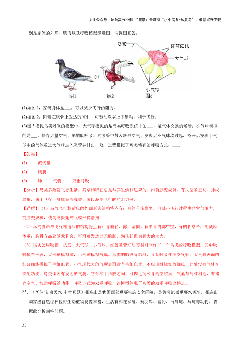 专题09各种各样的生物（全国通用）（解析版）_02中考总复习（2026版更新中）_08-生物-中考总复习_2026年中考复习（更新中）