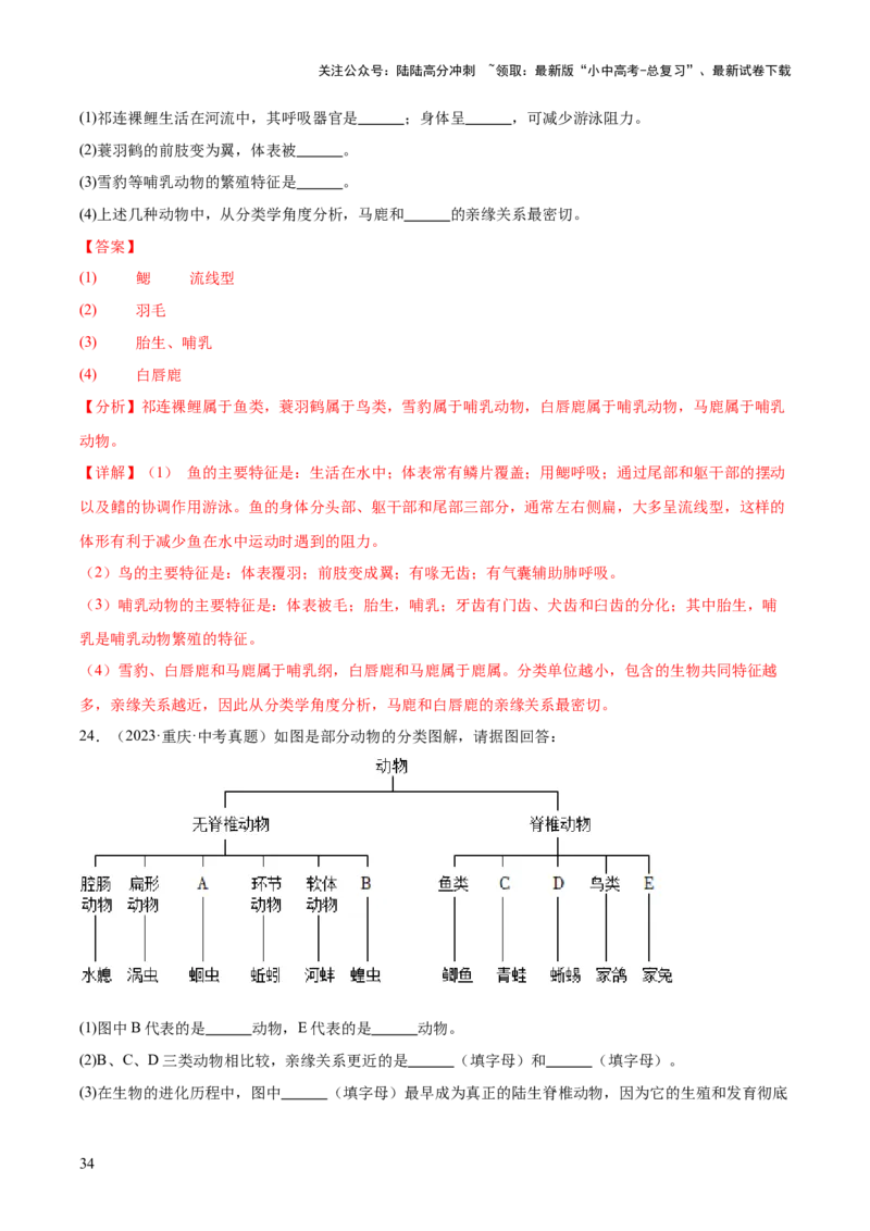 专题09各种各样的生物（全国通用）（解析版）_02中考总复习（2026版更新中）_08-生物-中考总复习_2026年中考复习（更新中）