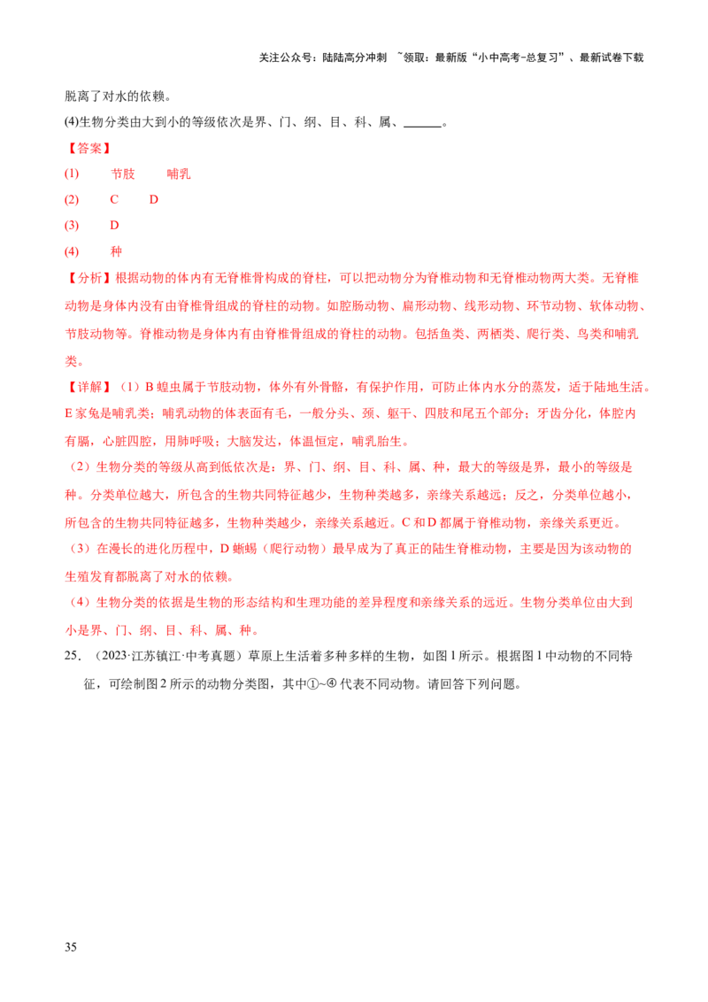 专题09各种各样的生物（全国通用）（解析版）_02中考总复习（2026版更新中）_08-生物-中考总复习_2026年中考复习（更新中）