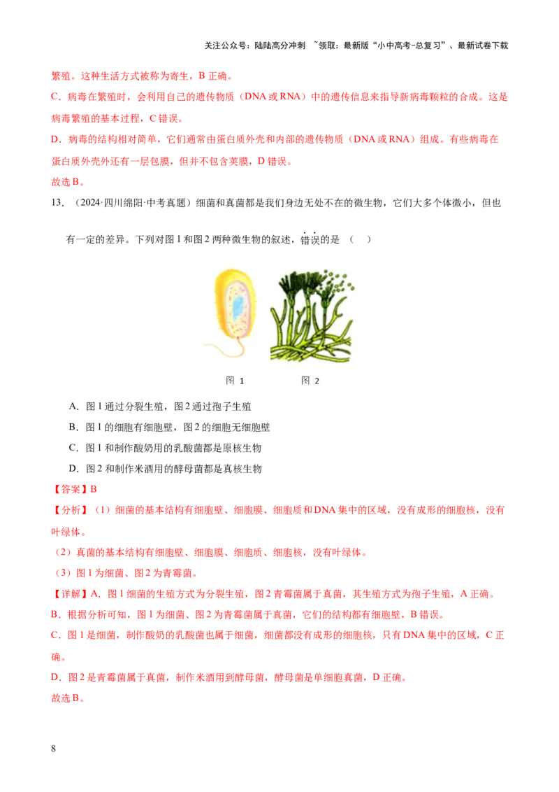 专题09各种各样的生物（全国通用）（解析版）_02中考总复习（2026版更新中）_08-生物-中考总复习_2026年中考复习（更新中）