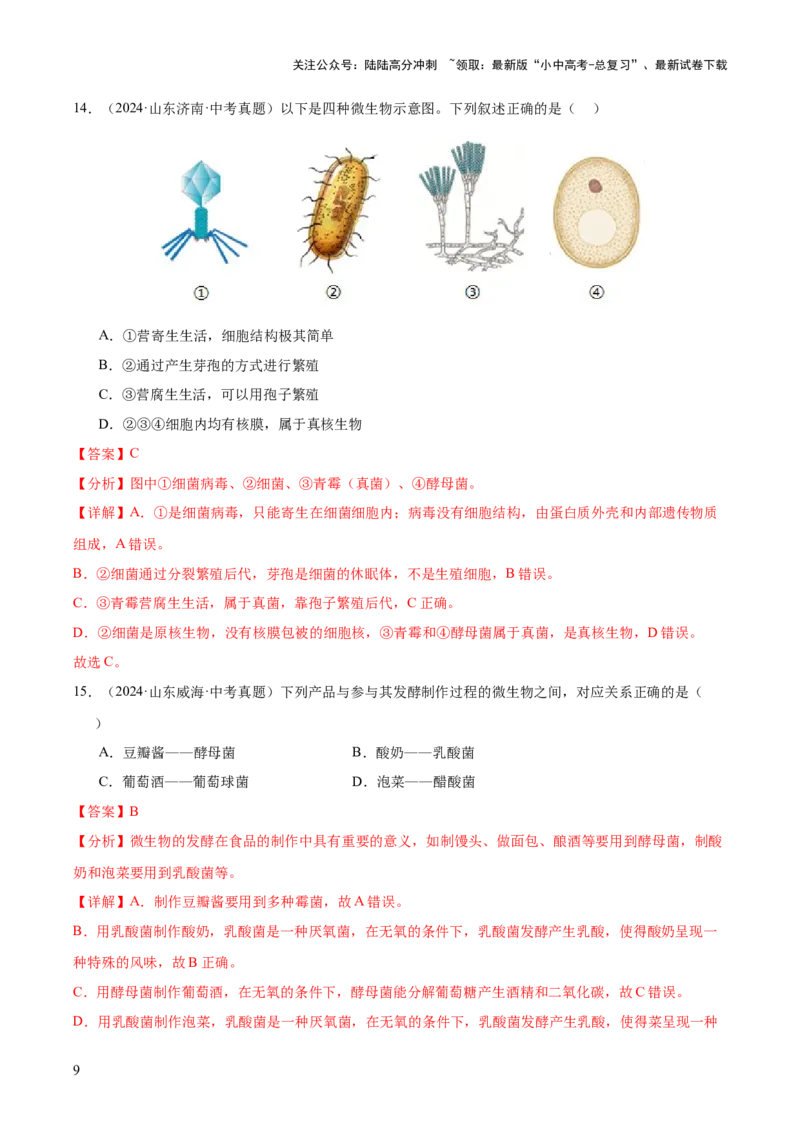 专题09各种各样的生物（全国通用）（解析版）_02中考总复习（2026版更新中）_08-生物-中考总复习_2026年中考复习（更新中）
