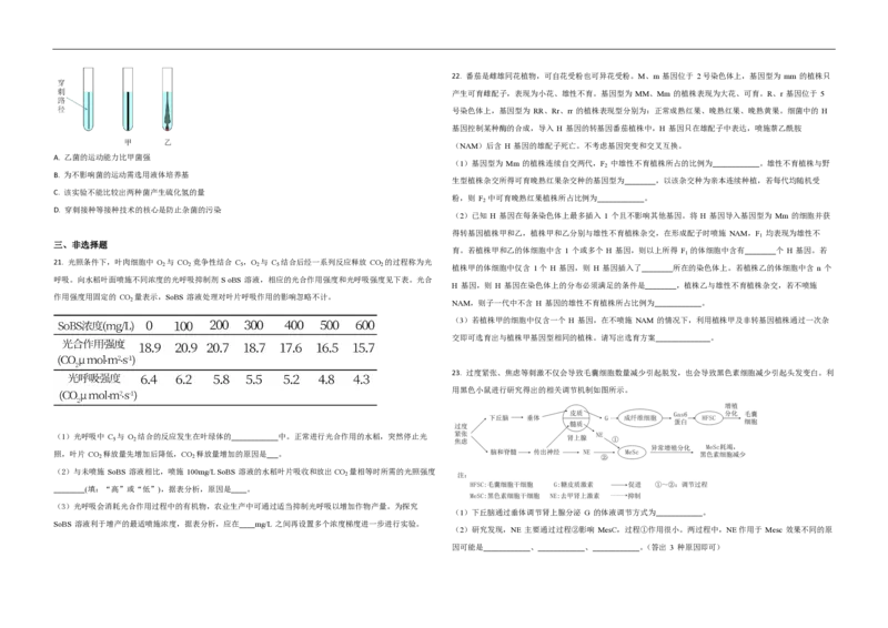 2021年高考真题生物（山东卷）（原卷版）_全国卷+地方卷_6.生物_1.生物高考真题试卷_2008-2020年_地方卷_山东高考生物08-21_山东高考生物_A3版_pdf版