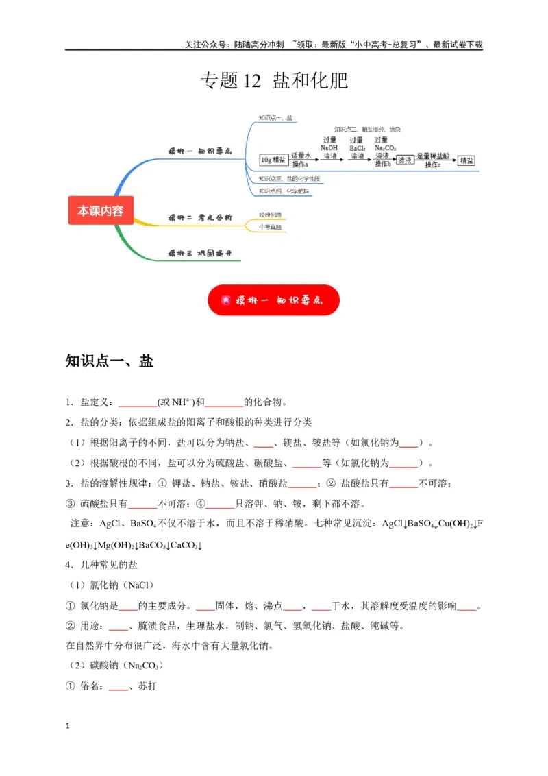专题12盐和化肥（原卷版）_02中考总复习（2026版更新中）_05-化学-中考总复习_2024年中考复习资料_一轮复习资料_完2024年中考化学复习考点一遍过（全国通用）
