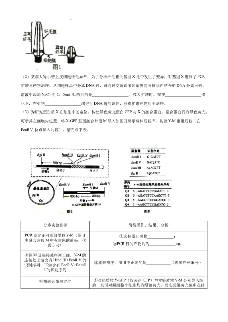 2022年新教材江苏生物高考真题（解析版）_全国卷+地方卷_6.生物_1.生物高考真题试卷_2022年高考-生物_2022年江苏卷-生物