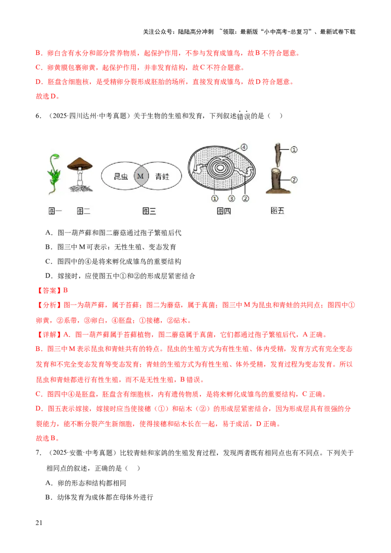 专题11生物的生殖和发育（全国通用）（解析版）_02中考总复习（2026版更新中）_08-生物-中考总复习_2026年中考复习（更新中）