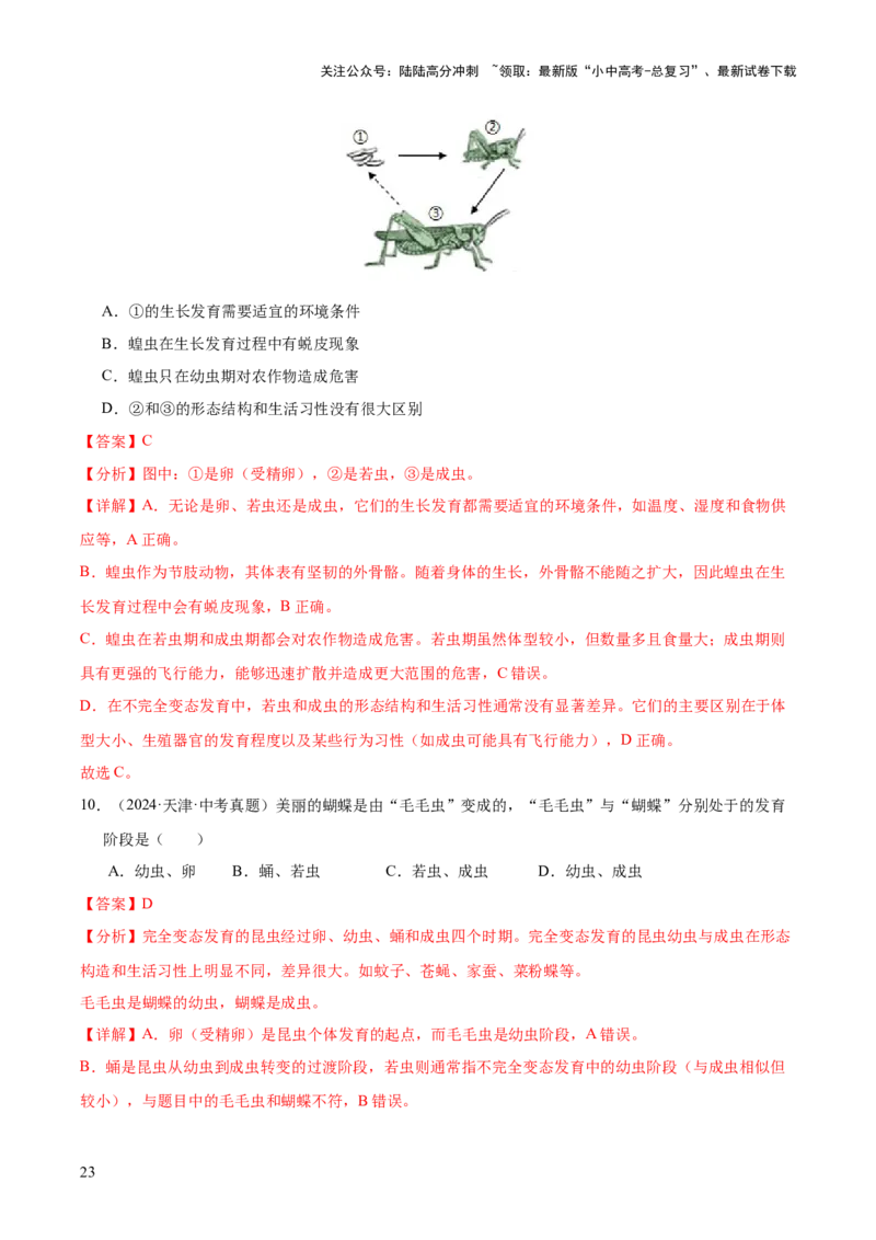 专题11生物的生殖和发育（全国通用）（解析版）_02中考总复习（2026版更新中）_08-生物-中考总复习_2026年中考复习（更新中）