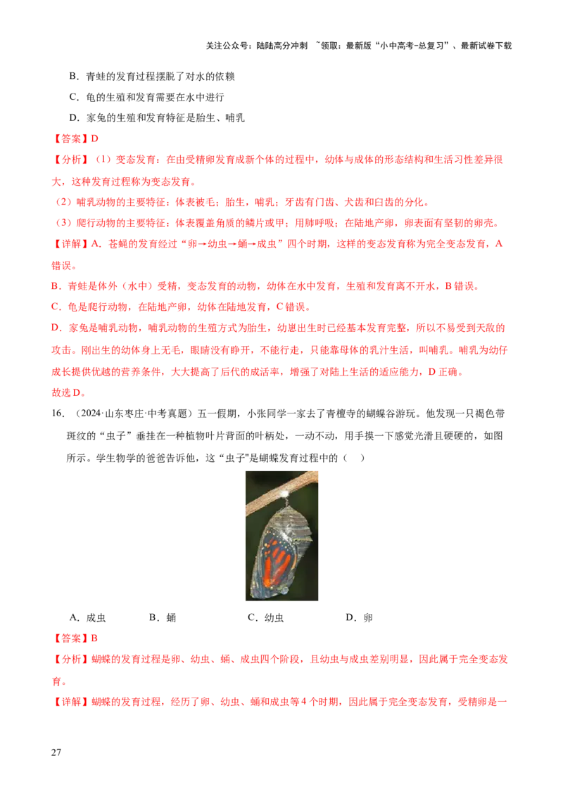 专题11生物的生殖和发育（全国通用）（解析版）_02中考总复习（2026版更新中）_08-生物-中考总复习_2026年中考复习（更新中）