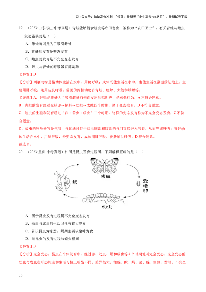 专题11生物的生殖和发育（全国通用）（解析版）_02中考总复习（2026版更新中）_08-生物-中考总复习_2026年中考复习（更新中）