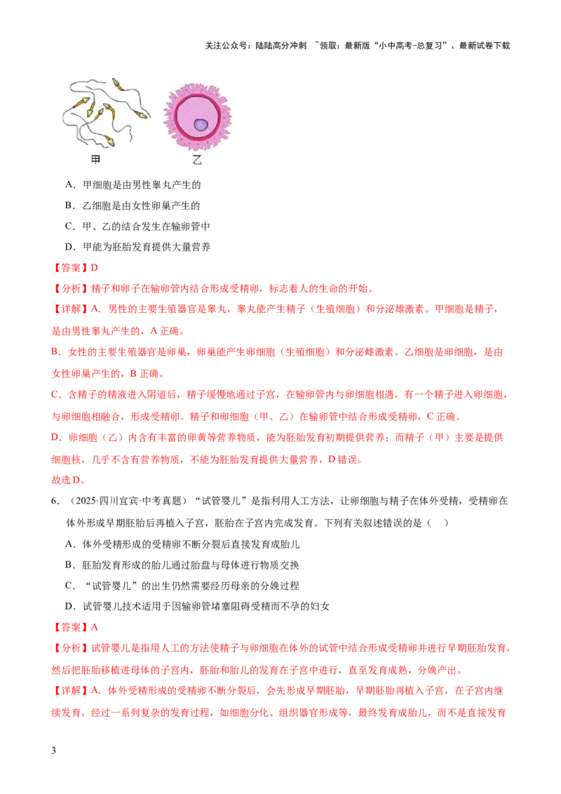 专题11生物的生殖和发育（全国通用）（解析版）_02中考总复习（2026版更新中）_08-生物-中考总复习_2026年中考复习（更新中）