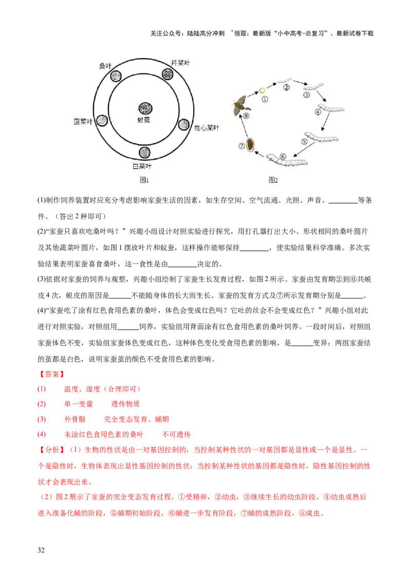 专题11生物的生殖和发育（全国通用）（解析版）_02中考总复习（2026版更新中）_08-生物-中考总复习_2026年中考复习（更新中）