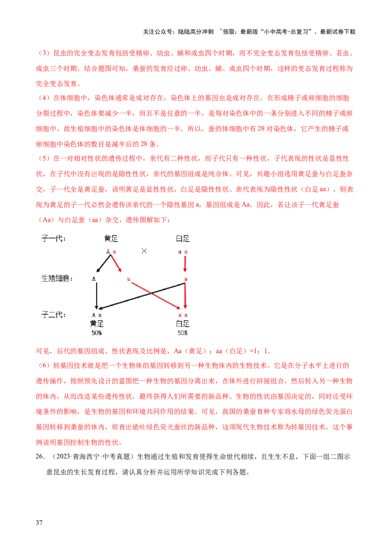 专题11生物的生殖和发育（全国通用）（解析版）_02中考总复习（2026版更新中）_08-生物-中考总复习_2026年中考复习（更新中）