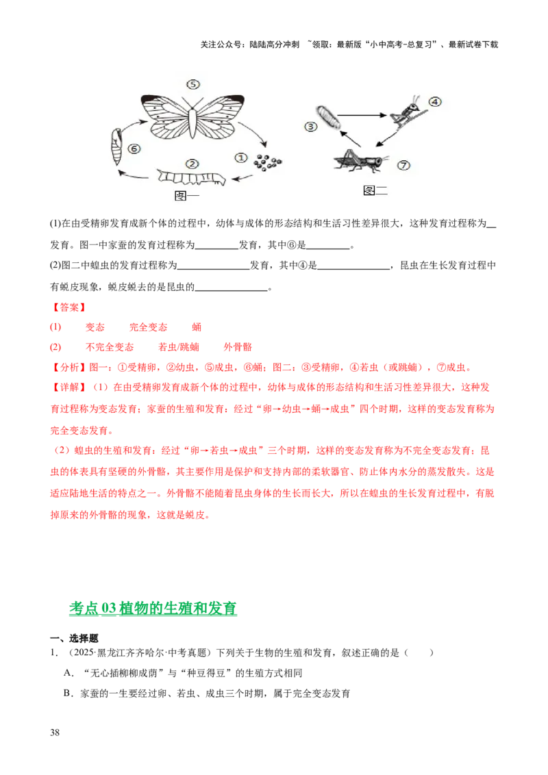 专题11生物的生殖和发育（全国通用）（解析版）_02中考总复习（2026版更新中）_08-生物-中考总复习_2026年中考复习（更新中）