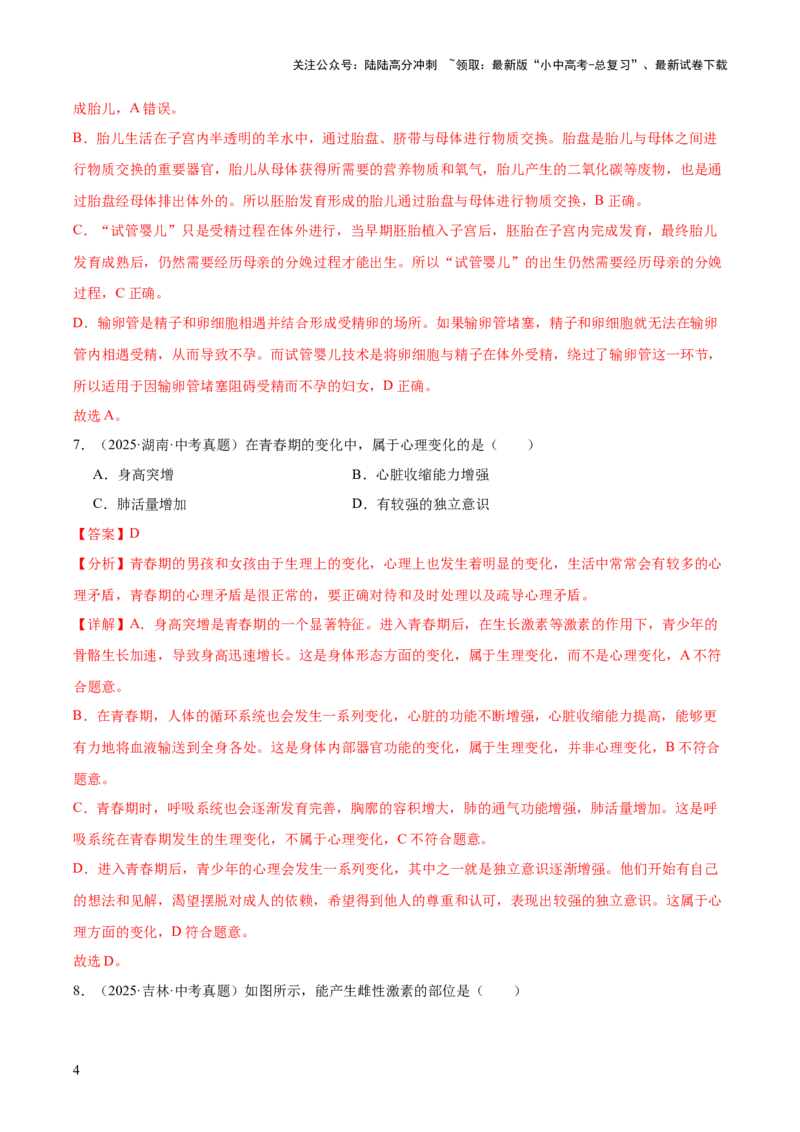 专题11生物的生殖和发育（全国通用）（解析版）_02中考总复习（2026版更新中）_08-生物-中考总复习_2026年中考复习（更新中）