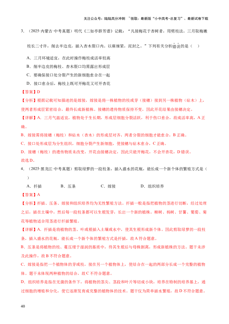 专题11生物的生殖和发育（全国通用）（解析版）_02中考总复习（2026版更新中）_08-生物-中考总复习_2026年中考复习（更新中）