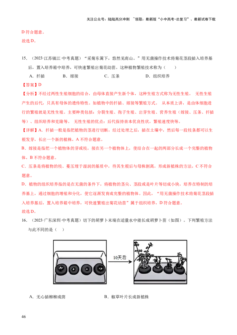 专题11生物的生殖和发育（全国通用）（解析版）_02中考总复习（2026版更新中）_08-生物-中考总复习_2026年中考复习（更新中）