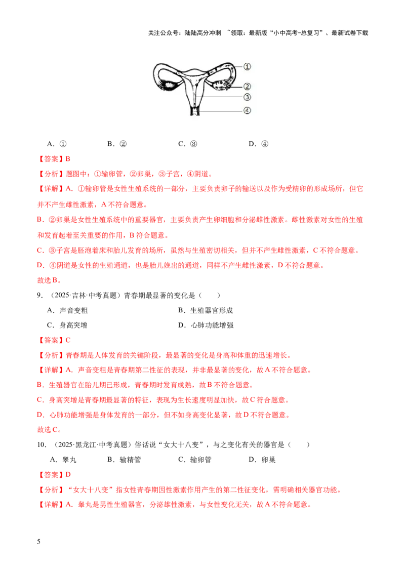 专题11生物的生殖和发育（全国通用）（解析版）_02中考总复习（2026版更新中）_08-生物-中考总复习_2026年中考复习（更新中）