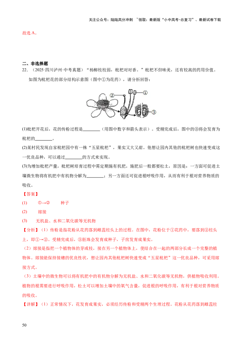 专题11生物的生殖和发育（全国通用）（解析版）_02中考总复习（2026版更新中）_08-生物-中考总复习_2026年中考复习（更新中）