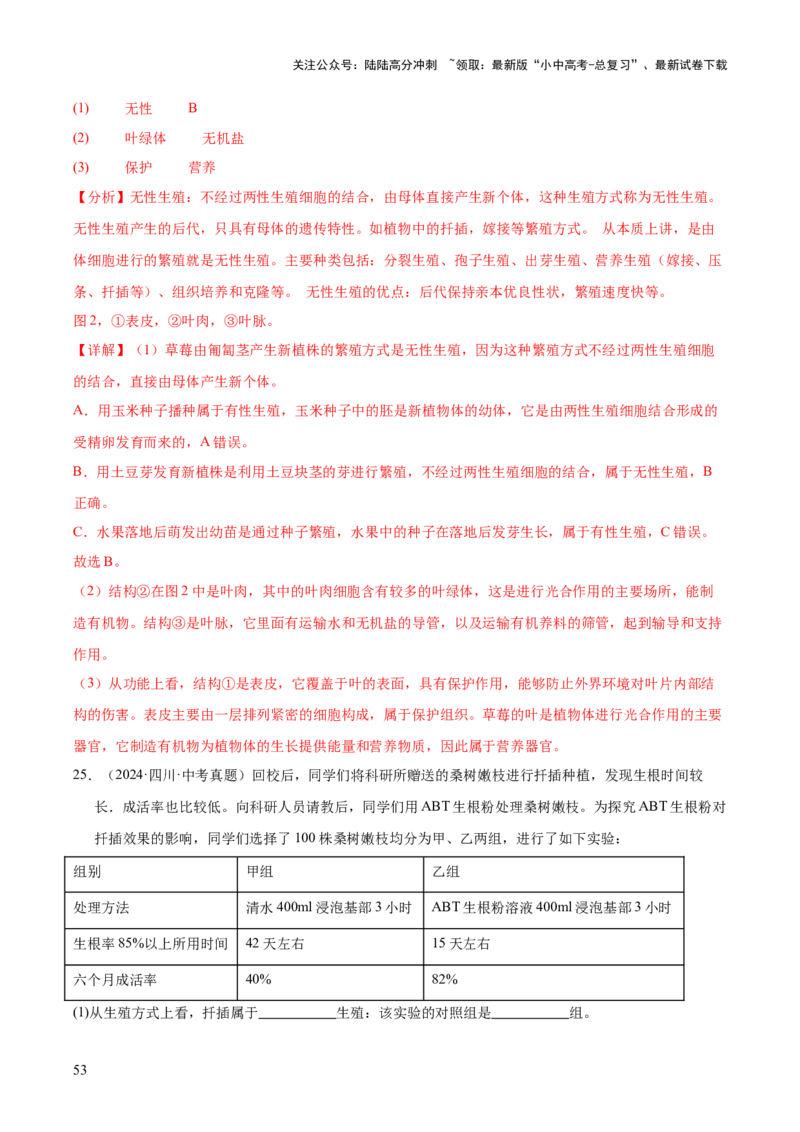 专题11生物的生殖和发育（全国通用）（解析版）_02中考总复习（2026版更新中）_08-生物-中考总复习_2026年中考复习（更新中）