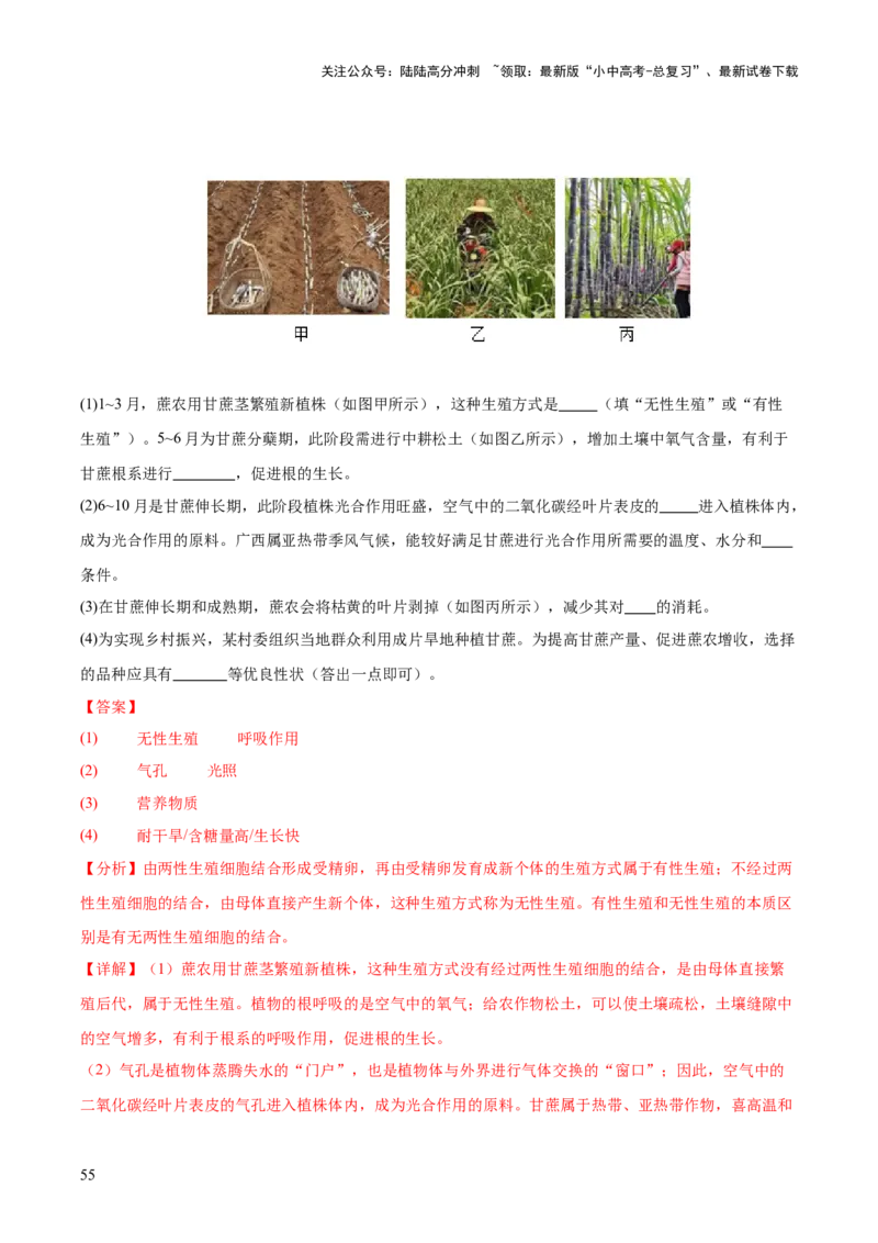 专题11生物的生殖和发育（全国通用）（解析版）_02中考总复习（2026版更新中）_08-生物-中考总复习_2026年中考复习（更新中）