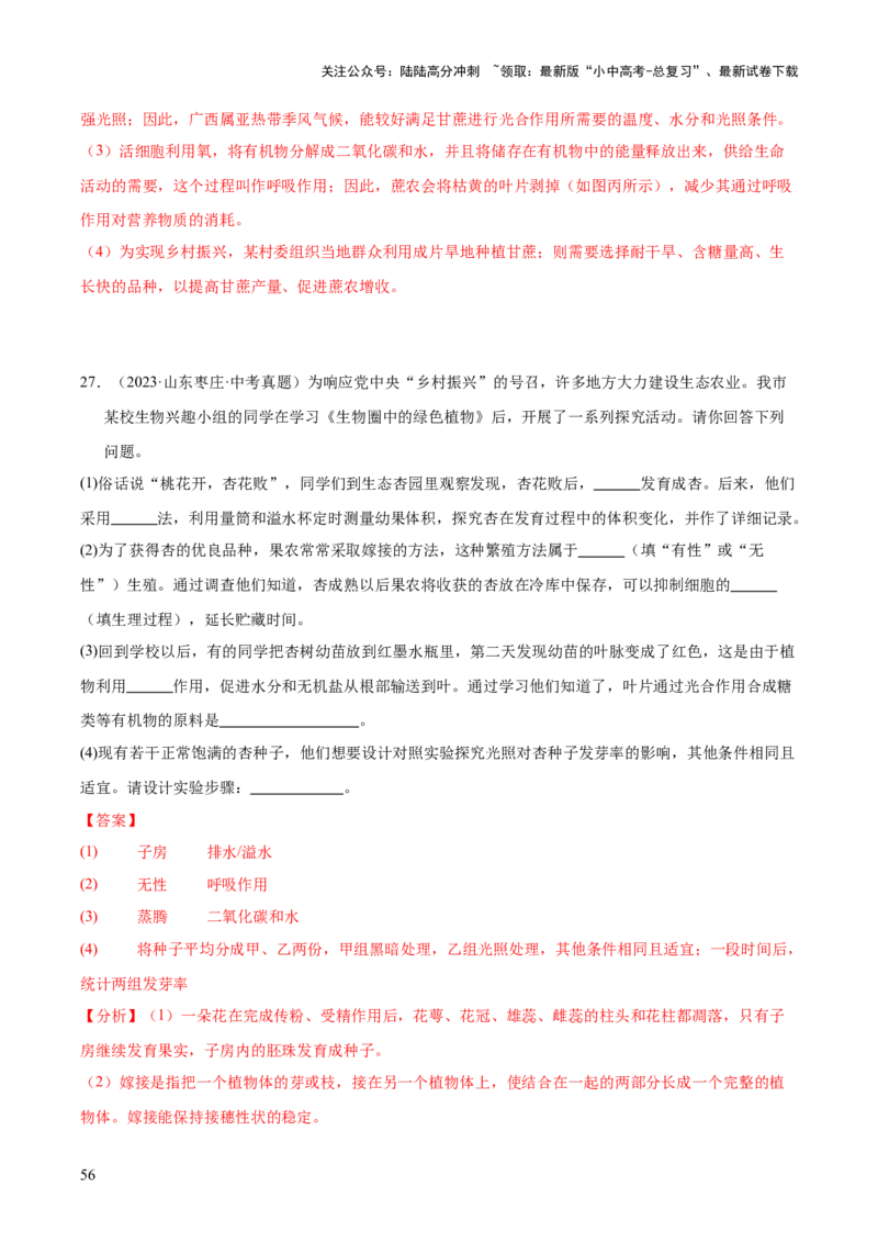 专题11生物的生殖和发育（全国通用）（解析版）_02中考总复习（2026版更新中）_08-生物-中考总复习_2026年中考复习（更新中）