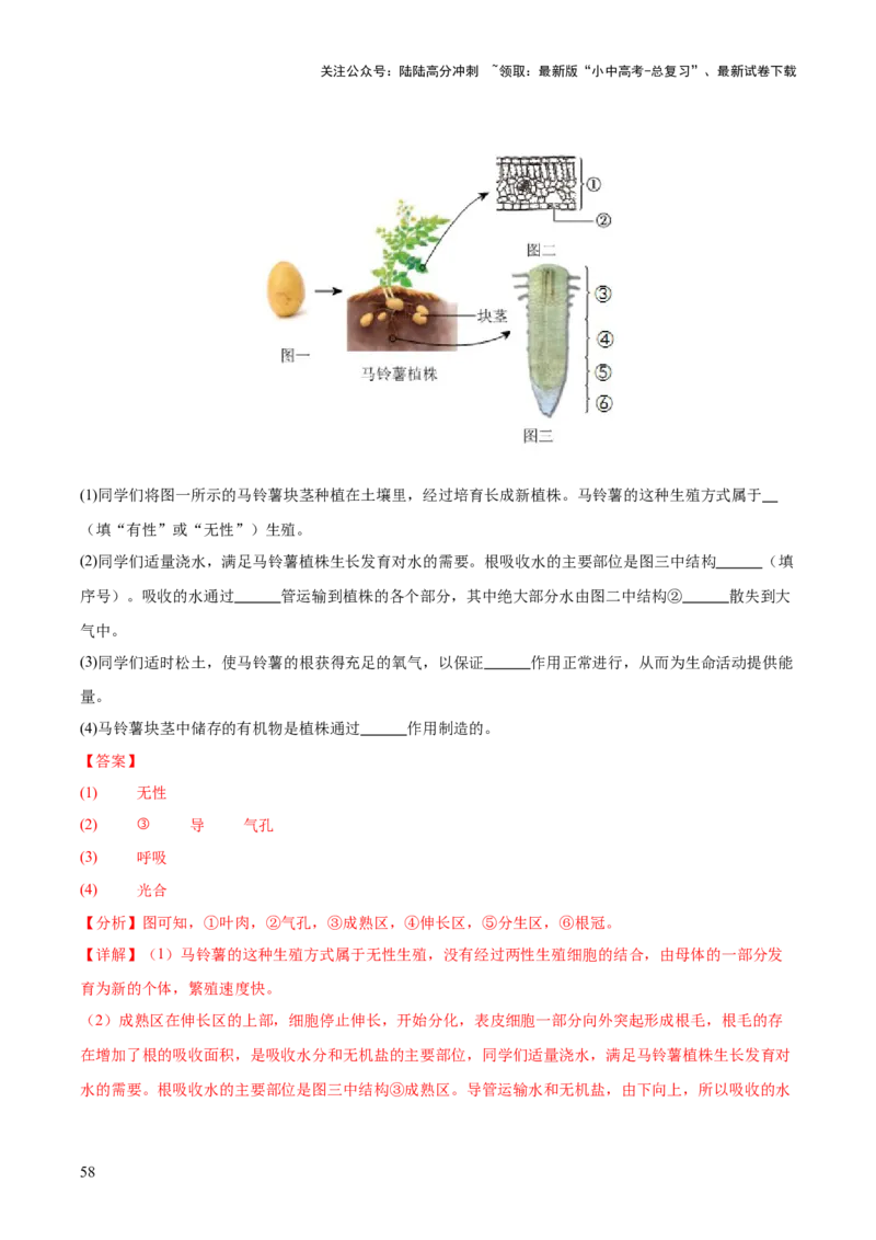 专题11生物的生殖和发育（全国通用）（解析版）_02中考总复习（2026版更新中）_08-生物-中考总复习_2026年中考复习（更新中）