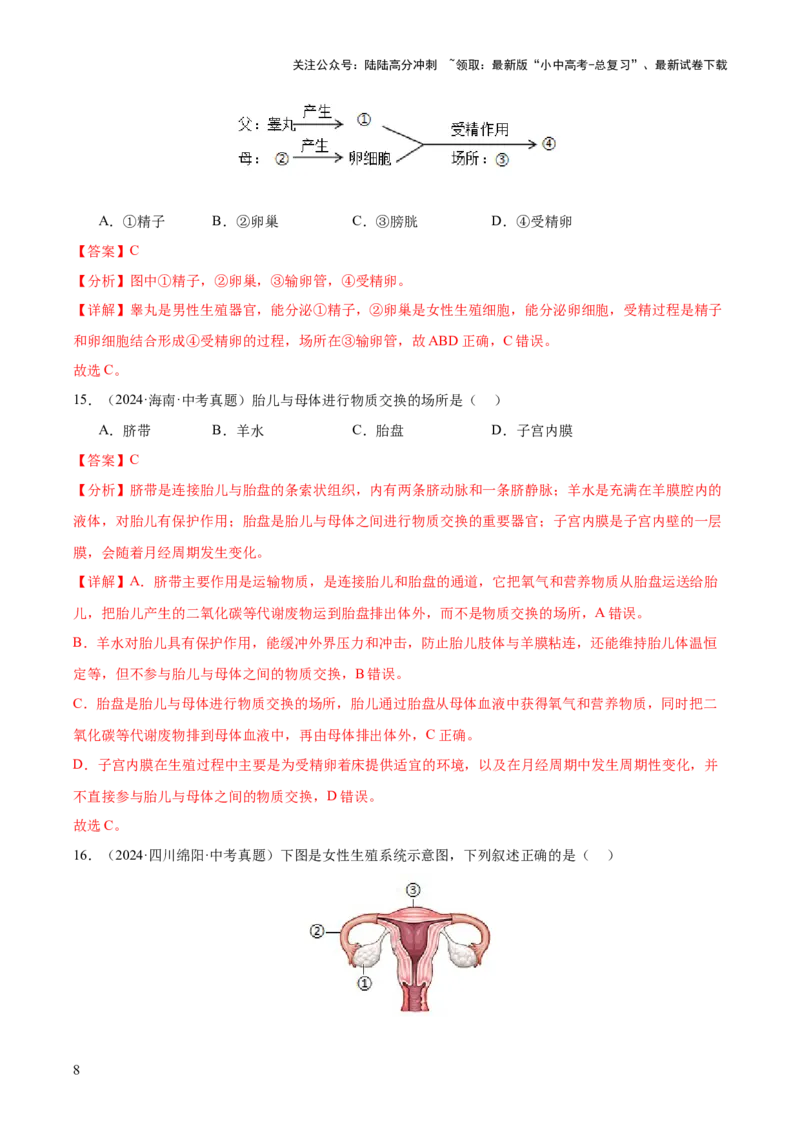 专题11生物的生殖和发育（全国通用）（解析版）_02中考总复习（2026版更新中）_08-生物-中考总复习_2026年中考复习（更新中）