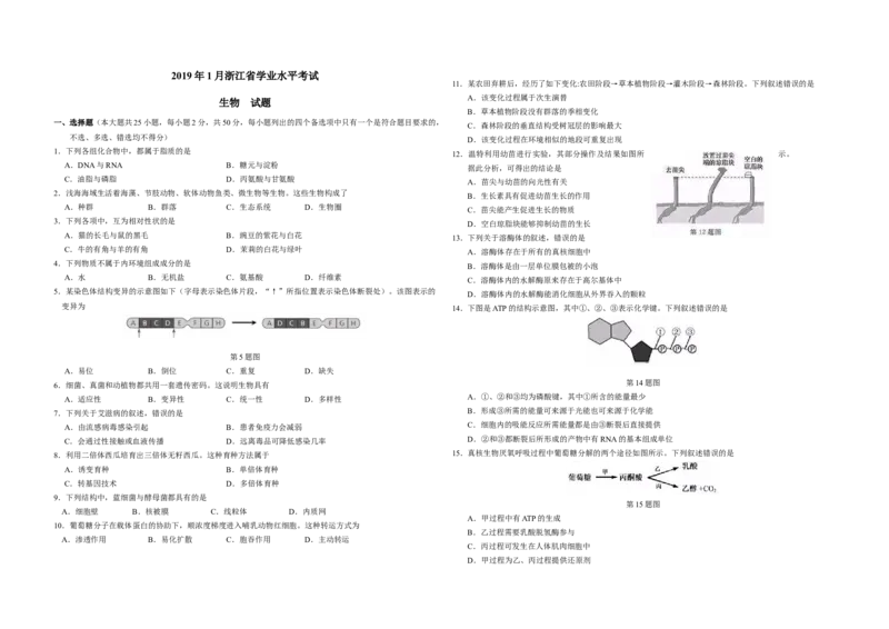 2019年浙江省高考生物1月（解析版）_全国卷+地方卷_6.生物_1.生物高考真题试卷_2008-2020年_地方卷_浙江高考生物08-21_A3word版