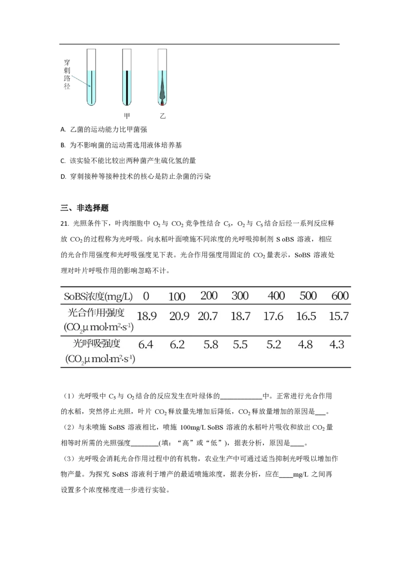 2021年高考真题生物（山东卷）（原卷版）_全国卷+地方卷_6.生物_1.生物高考真题试卷_2008-2020年_地方卷_山东高考生物08-21_山东高考生物_A4版_pdf版