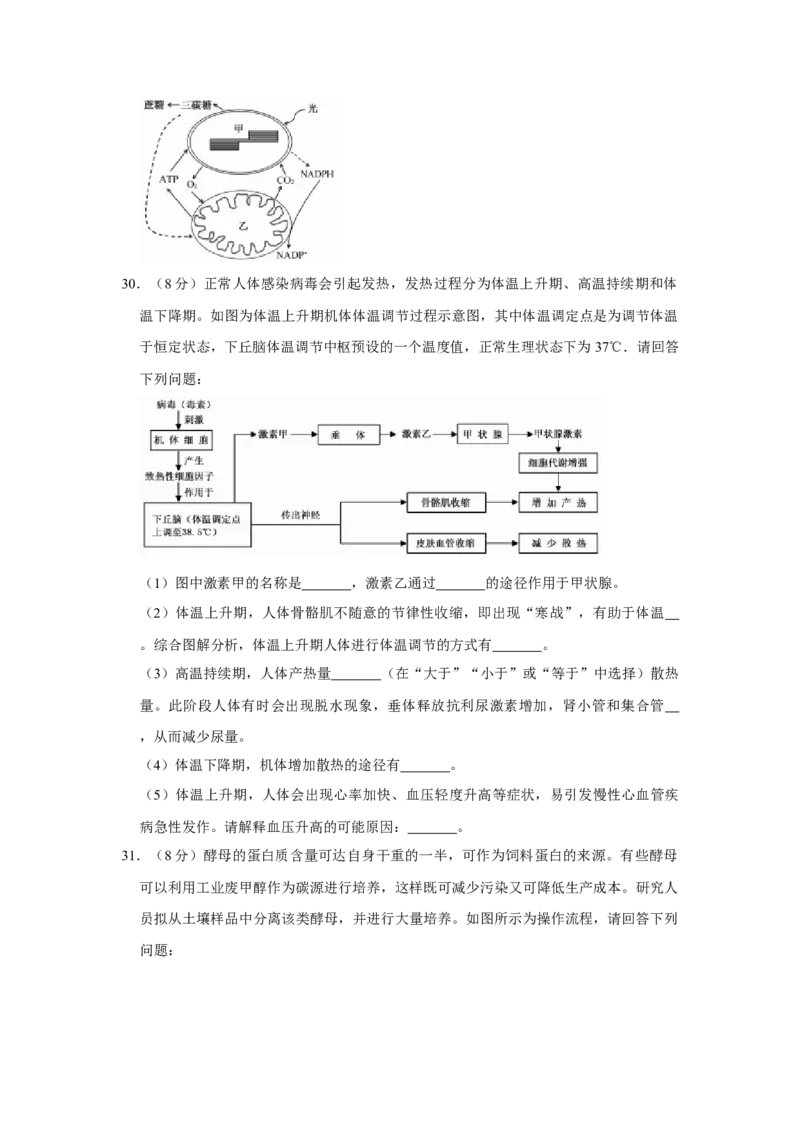 2018年江苏省高考生物试卷_全国卷+地方卷_6.生物_1.生物高考真题试卷_2008-2020年_地方卷_江苏高考生物07-20_A4word版