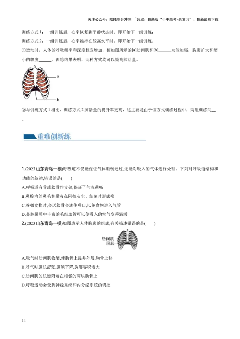 专题11人体的呼吸（练习）（原卷版）_02中考总复习（2026版更新中）_08-生物-中考总复习_2024年中考复习资料_一轮复习_❤2024年中考生物一轮复习讲练测（全国通用）_练习