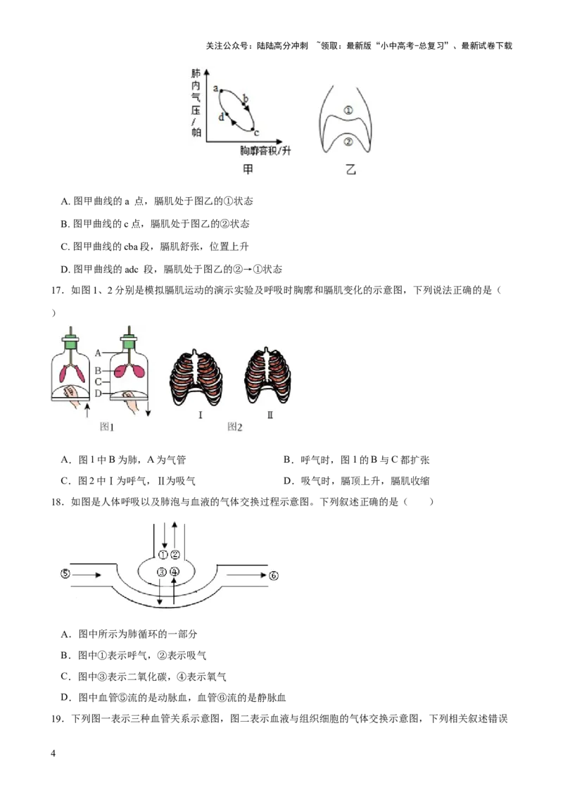 专题11人体的呼吸（练习）（原卷版）_02中考总复习（2026版更新中）_08-生物-中考总复习_2024年中考复习资料_一轮复习_❤2024年中考生物一轮复习讲练测（全国通用）_练习