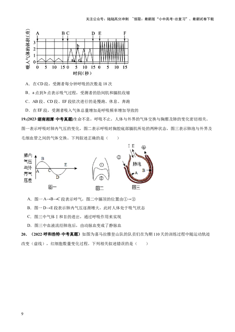 专题11人体的呼吸（练习）（原卷版）_02中考总复习（2026版更新中）_08-生物-中考总复习_2024年中考复习资料_一轮复习_❤2024年中考生物一轮复习讲练测（全国通用）_练习