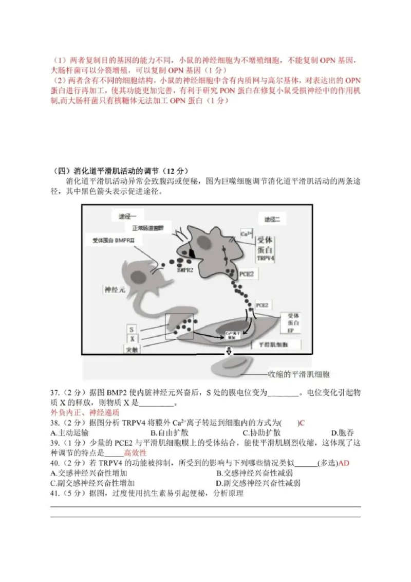 2020年上海市普通高中学业水平等级性考试生物试卷（pdf，有答案）_全国卷+地方卷_6.生物_1.生物高考真题试卷_2008-2020年_地方卷_上海高考生物真题01-20