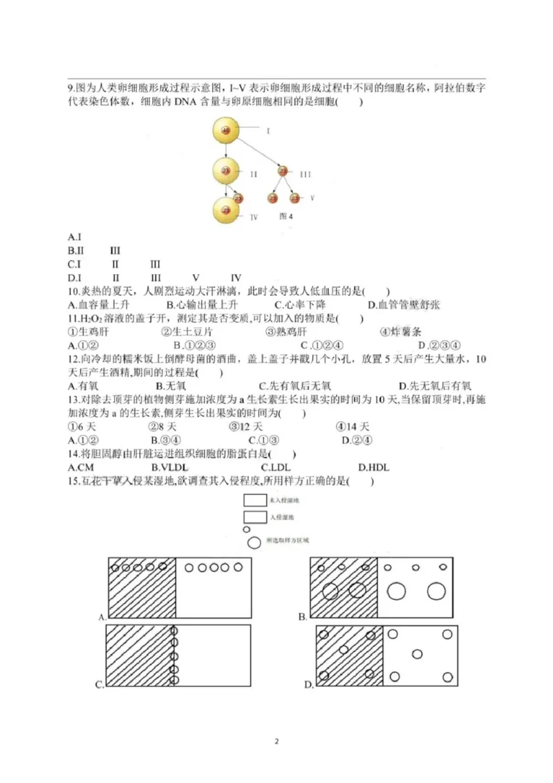 2020年上海市普通高中学业水平等级性考试生物试卷（pdf，有答案）_全国卷+地方卷_6.生物_1.生物高考真题试卷_2008-2020年_地方卷_上海高考生物真题01-20