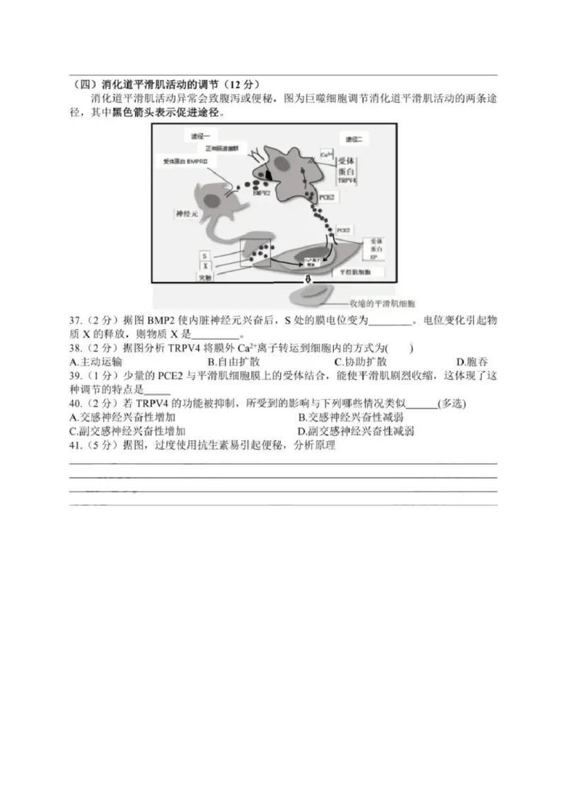2020年上海市普通高中学业水平等级性考试生物试卷（pdf，有答案）_全国卷+地方卷_6.生物_1.生物高考真题试卷_2008-2020年_地方卷_上海高考生物真题01-20